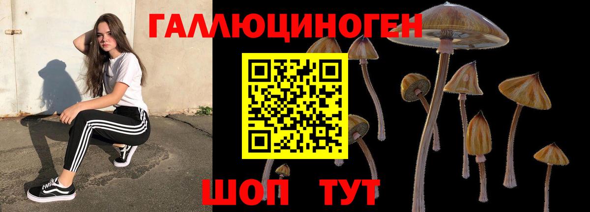 Галлюциногенные грибы Magic Shrooms  Псилоцибиновые грибы мухоморы  Вход с VPN  Ангарск 